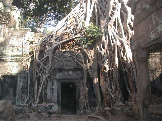 tomb raider door in ta prohm