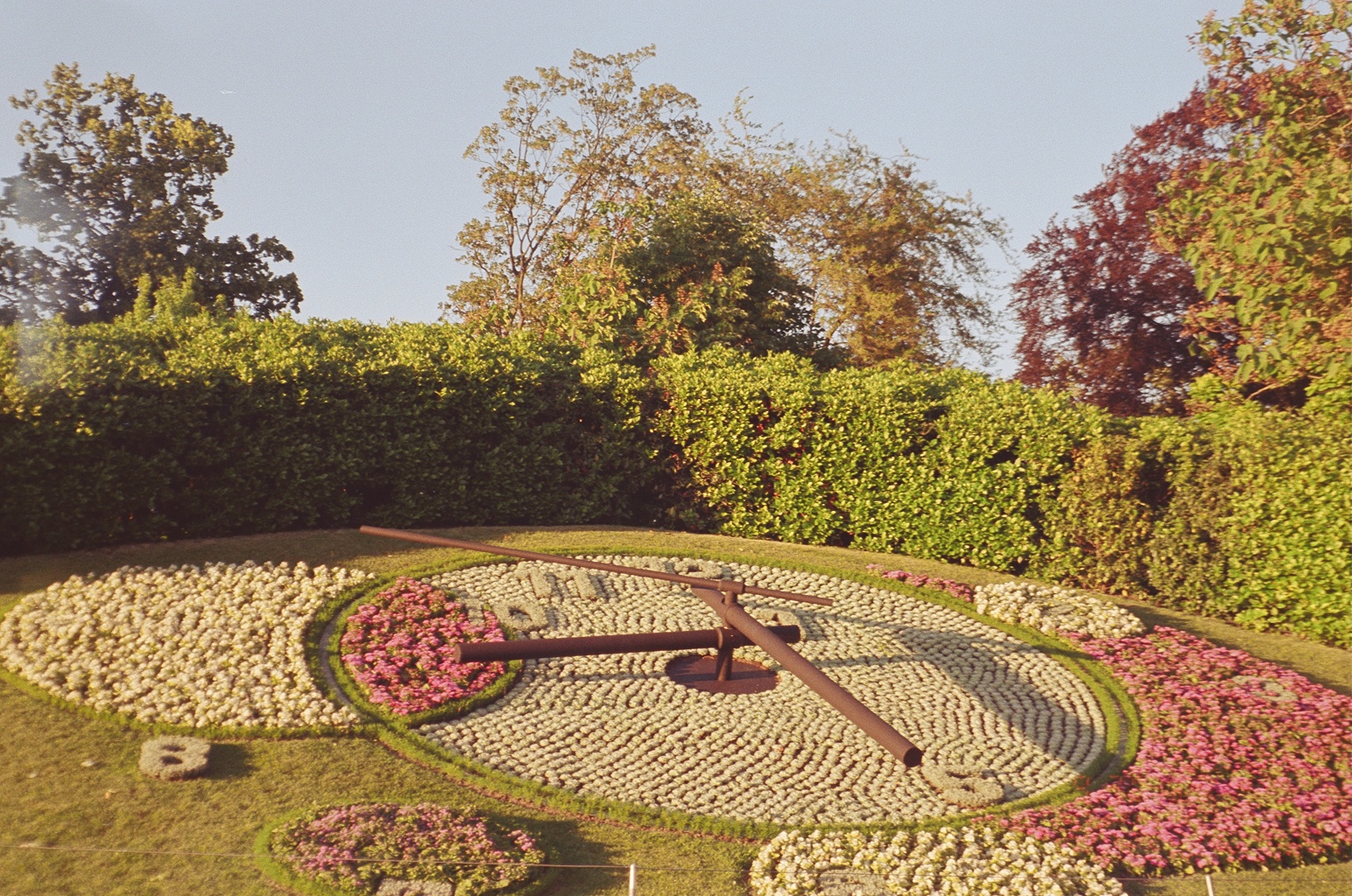 floralclock