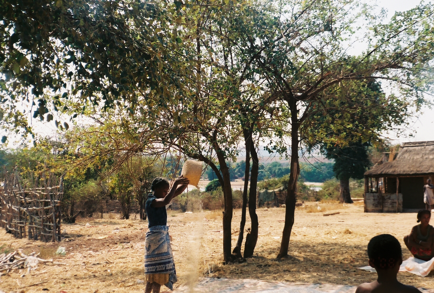 woman in Begidro threshing wheat