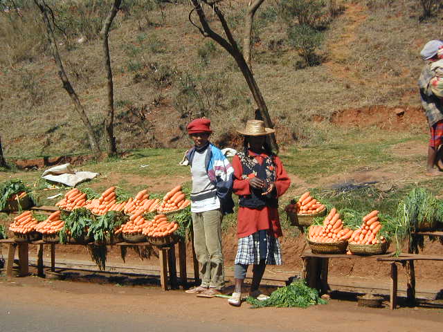 carrot market