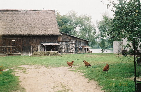 zambsk