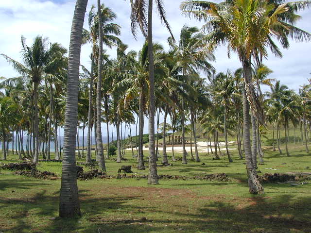  overview of anakena