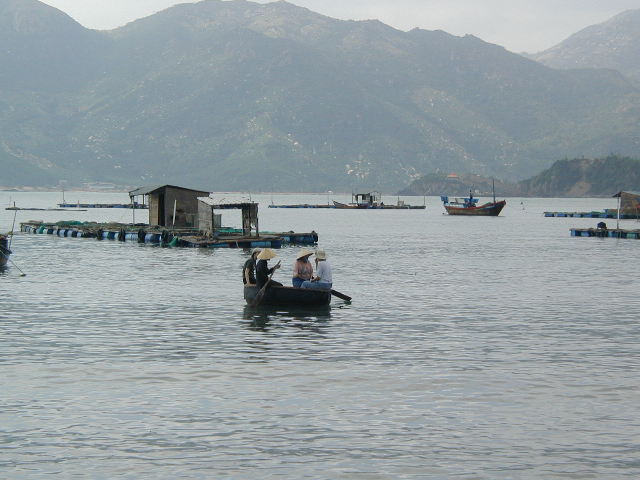 basket boat