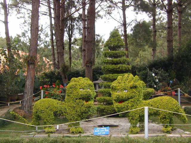 topiary at temple in Dalat