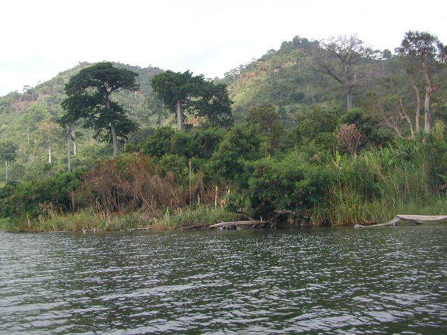 Lake Bosum Twi