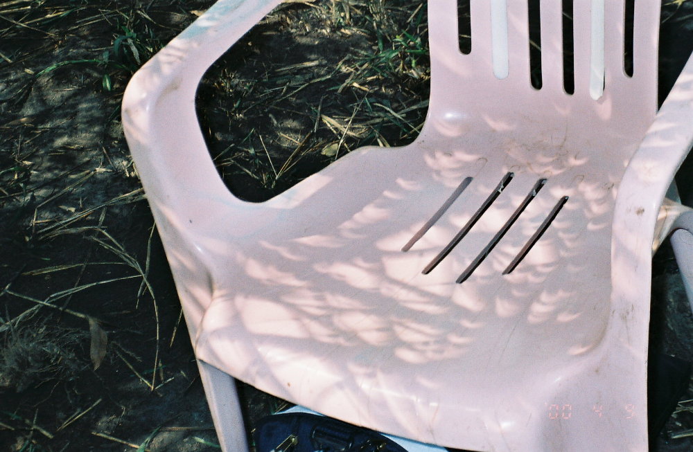 crescent effect of palm fronds during eclipse